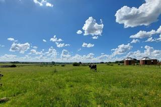 5 Bedroom Property for Sale in Lakeview Free State